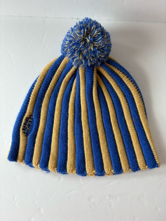 NWOT Free People FP Movement Alpine Pom Beanie